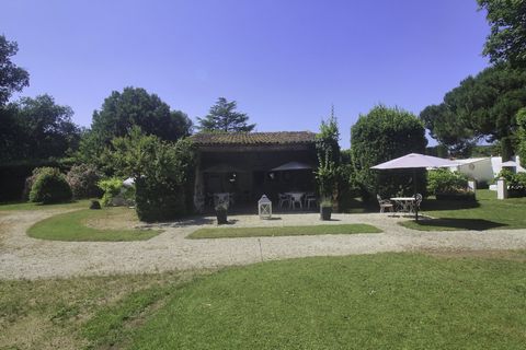 photo no. 17