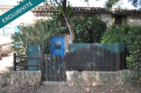 photo no. 16