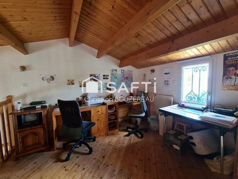 photo no. 6