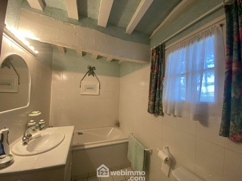 photo no. 14