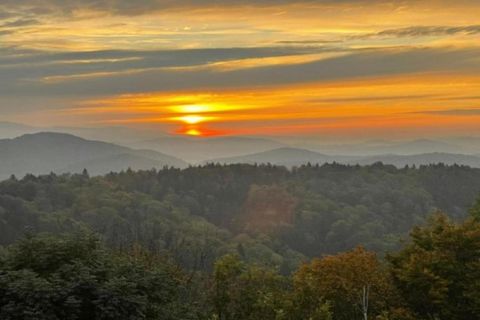 Create lasting family memories at this enchanting holiday park on the Geyersberg above Freyung, surrounded by the serene beauty of Bavarian nature. Each cozy apartment features a private loggia with stunning views of the Bavarian Forest. Unwind in th...