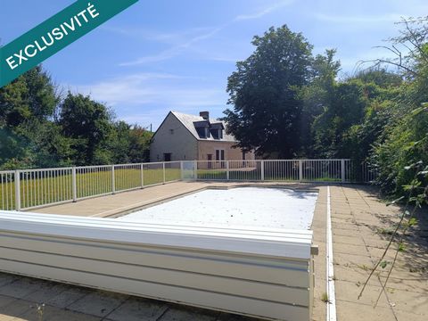 photo no. 11