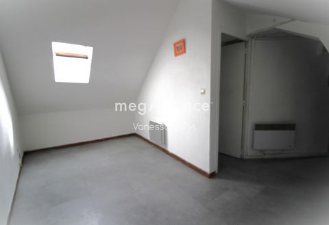 photo no. 12