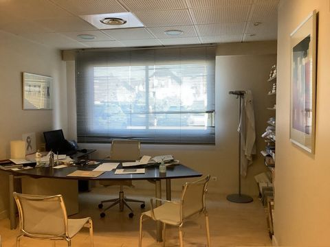 photo no. 10