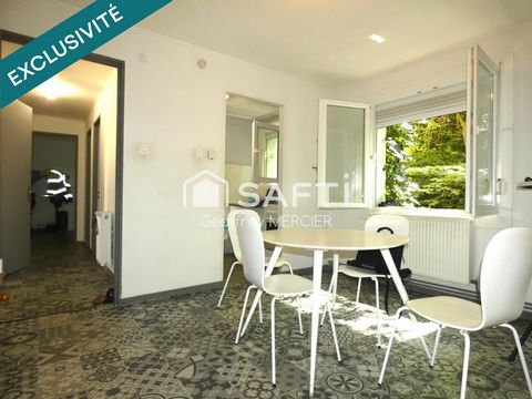 Idéal pour investisseur!