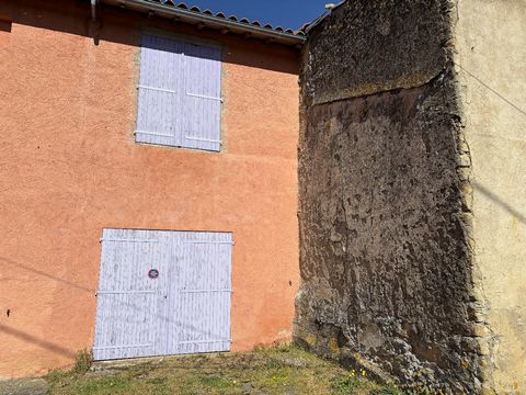 photo no. 9