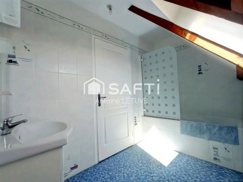 photo no. 11