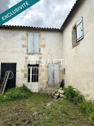 photo no. 10