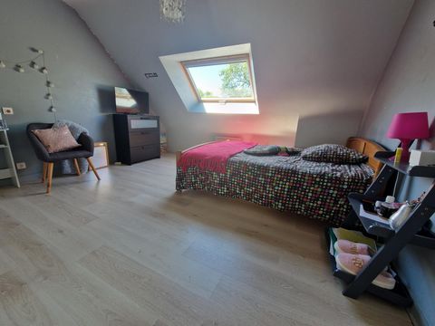 photo no. 8