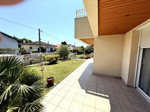 photo no. 2