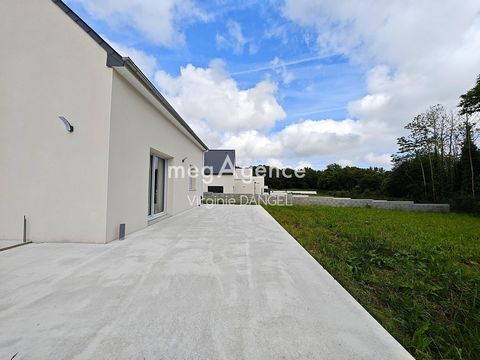 photo no. 12