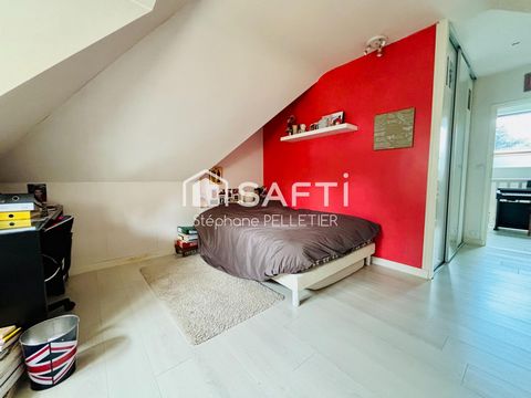 photo no. 11