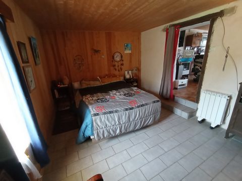 photo no. 10