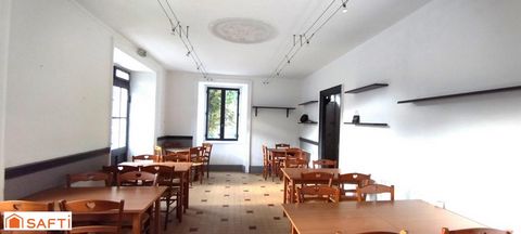 photo no. 4