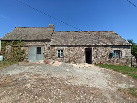 photo no. 13