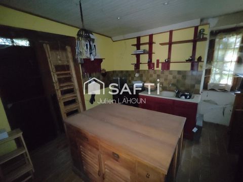 photo no. 6