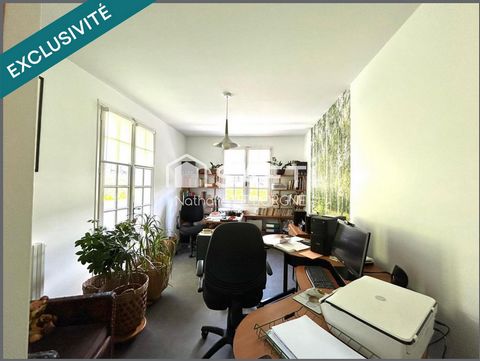 photo no. 11