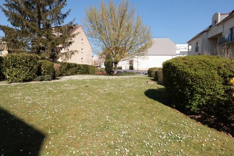 photo no. 11