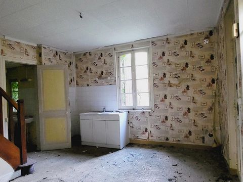 photo no. 12