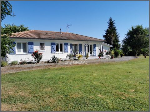 MAISON TRES LUMINEUSE DE PLAIN PIED SANS TRAVAUX