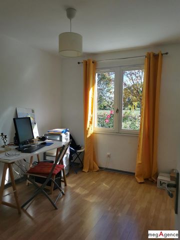 photo no. 8