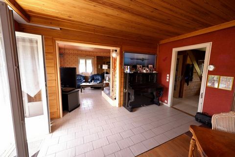 photo no. 11