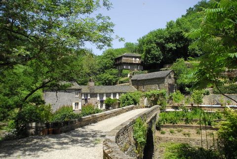 photo no. 12