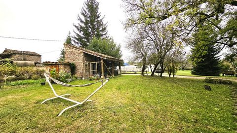 photo no. 13