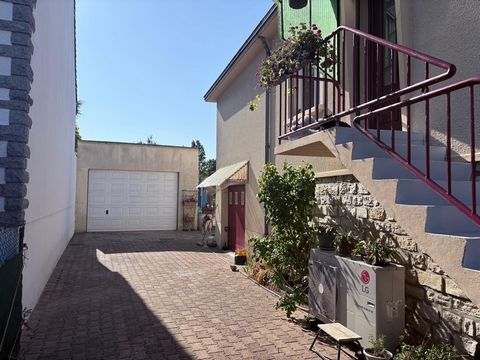 photo no. 6
