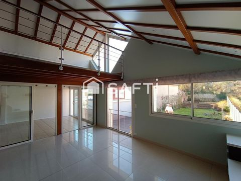 photo no. 6