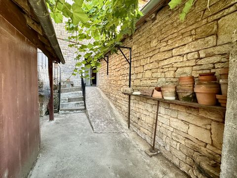 photo no. 6