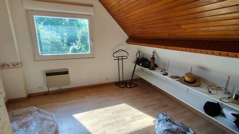 photo no. 6