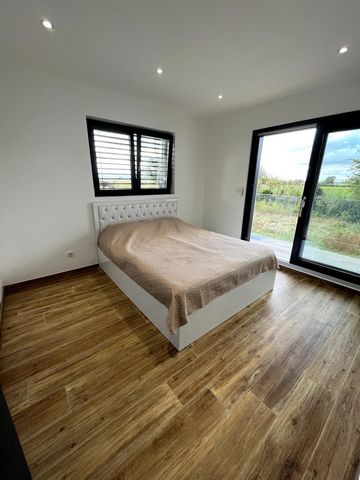 photo no. 12