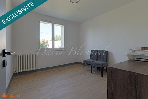 photo no. 13