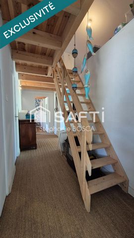 photo no. 14