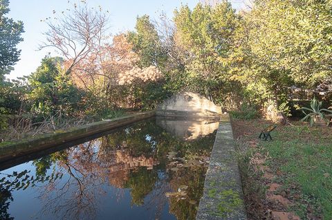 photo no. 15
