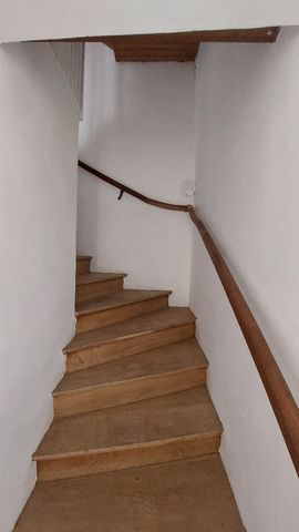 photo no. 6
