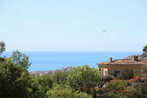photo no. 2
