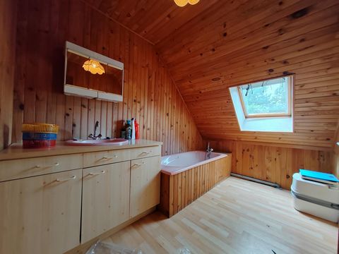 photo no. 11