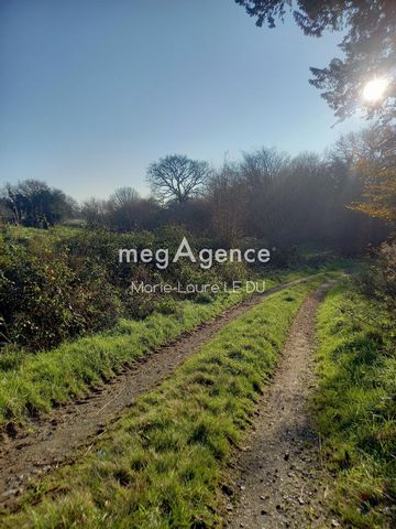 photo no. 8