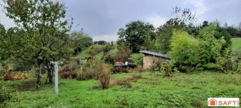 photo no. 3