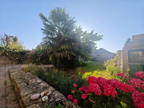 photo no. 10