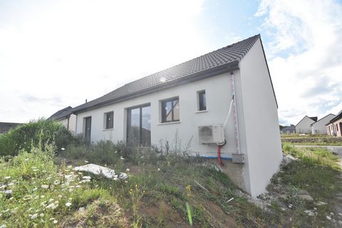 photo no. 8