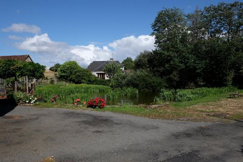 photo no. 11
