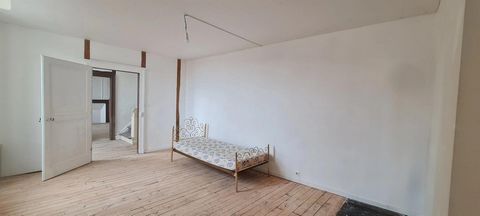 photo no. 8