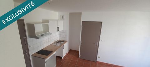 photo no. 12