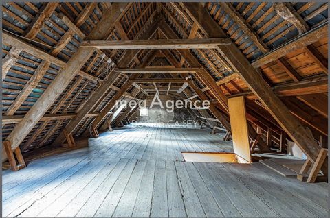 photo no. 11
