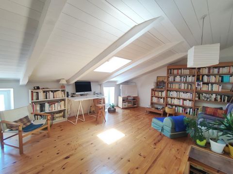 photo no. 2