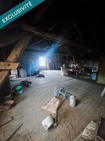 photo no. 12