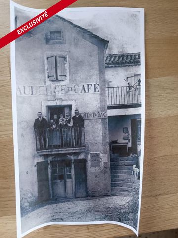 photo no. 6